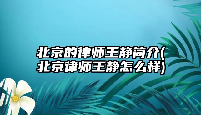 北京的律師王靜簡介(北京律師王靜怎么樣)