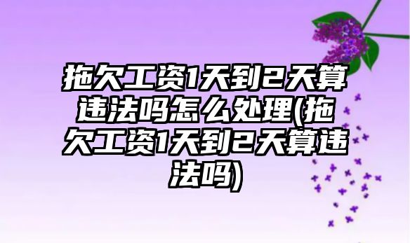 拖欠工資1天到2天算違法嗎怎么處理(拖欠工資1天到2天算違法嗎)