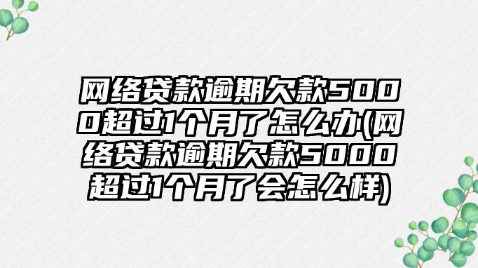 網絡貸款逾期欠款5000超過1個月了怎么辦(網絡貸款逾期欠款5000超過1個月了會怎么樣)