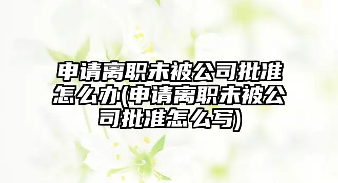 申請離職未被公司批準(zhǔn)怎么辦(申請離職未被公司批準(zhǔn)怎么寫)