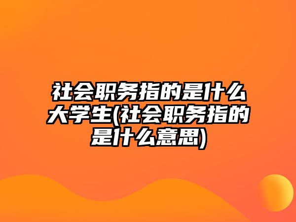 社會職務(wù)指的是什么大學(xué)生(社會職務(wù)指的是什么意思)