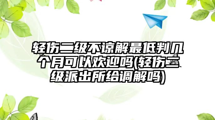 輕傷二級(jí)不諒解最低判幾個(gè)月可以歡迎嗎(輕傷二級(jí)派出所給調(diào)解嗎)