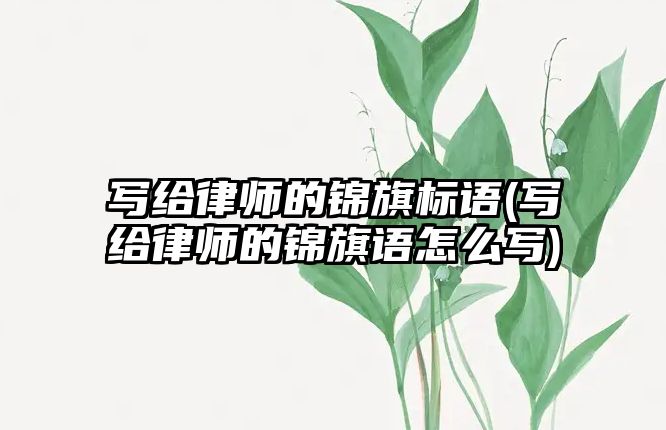 寫給律師的錦旗標語(寫給律師的錦旗語怎么寫)