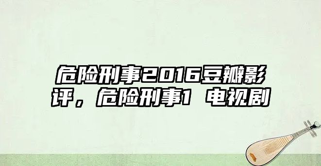 危險刑事2016豆瓣影評，危險刑事1 電視劇