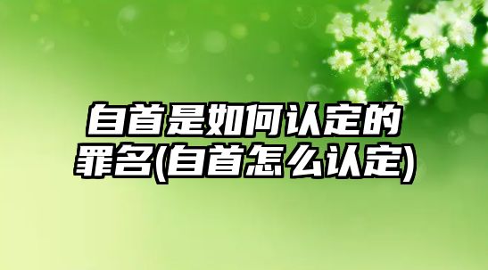 自首是如何認(rèn)定的罪名(自首怎么認(rèn)定)