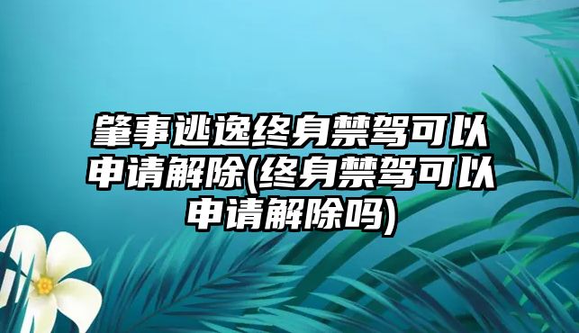 肇事逃逸終身禁駕可以申請(qǐng)解除(終身禁駕可以申請(qǐng)解除嗎)