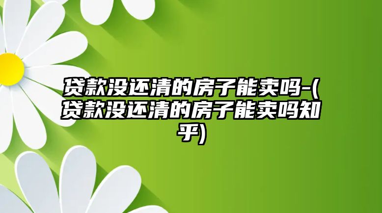 貸款沒還清的房子能賣嗎-(貸款沒還清的房子能賣嗎知乎)