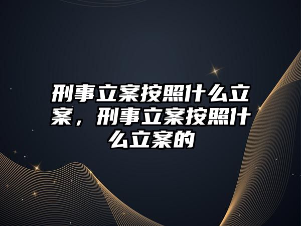 刑事立案按照什么立案，刑事立案按照什么立案的