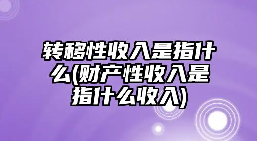 轉移性收入是指什么(財產性收入是指什么收入)