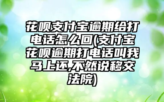 花唄支付寶逾期給打電話怎么回(支付寶花唄逾期打電話叫我馬上還,不然說移交法院)