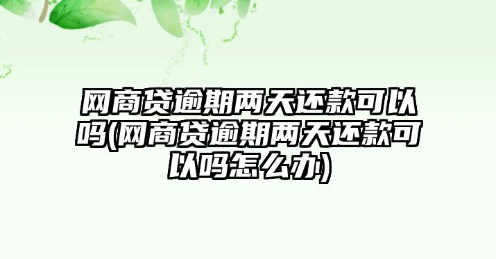 網(wǎng)商貸逾期兩天還款可以嗎(網(wǎng)商貸逾期兩天還款可以嗎怎么辦)