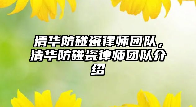 清華防碰瓷律師團隊，清華防碰瓷律師團隊介紹