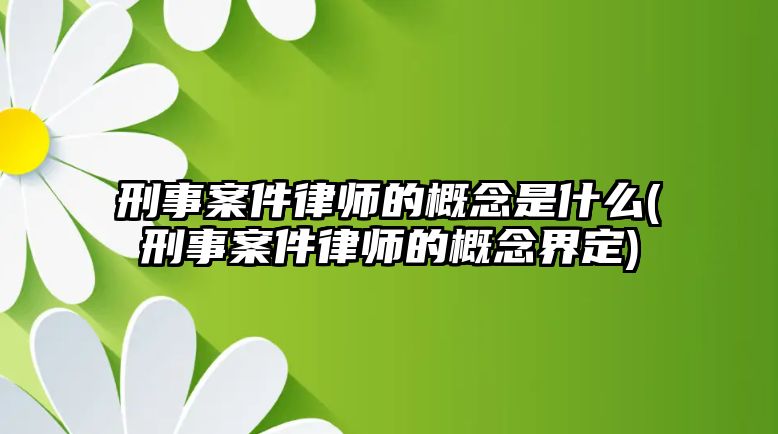 刑事案件律師的概念是什么(刑事案件律師的概念界定)