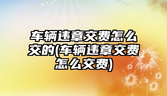 車輛違章交費(fèi)怎么交的(車輛違章交費(fèi)怎么交費(fèi))