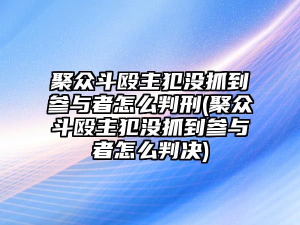 聚眾斗毆主犯沒抓到參與者怎么判刑(聚眾斗毆主犯沒抓到參與者怎么判決)