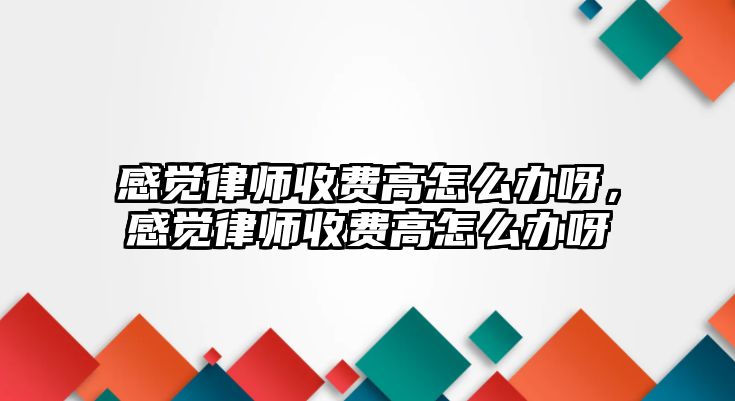 感覺律師收費高怎么辦呀，感覺律師收費高怎么辦呀