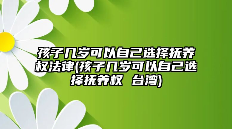 孩子幾歲可以自己選擇撫養權法律(孩子幾歲可以自己選擇撫養權 臺灣)