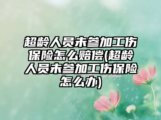 超齡人員未參加工傷保險怎么賠償(超齡人員未參加工傷保險怎么辦)