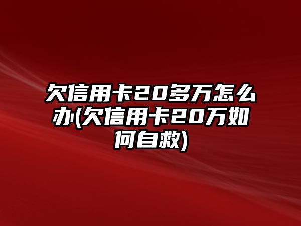 欠信用卡20多萬怎么辦(欠信用卡20萬如何自救)