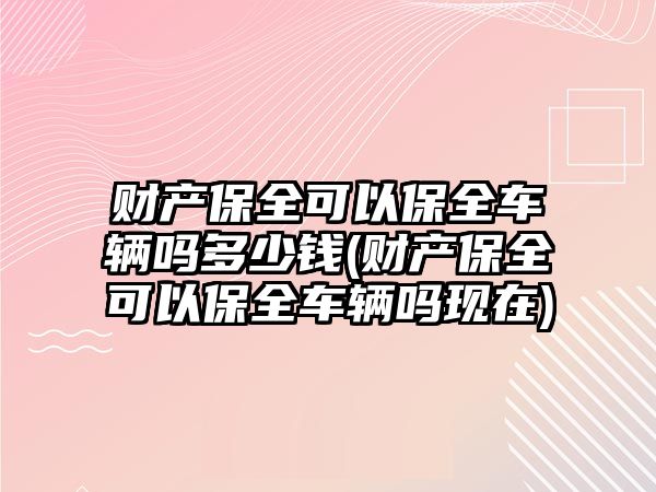 財產保全可以保全車輛嗎多少錢(財產保全可以保全車輛嗎現在)