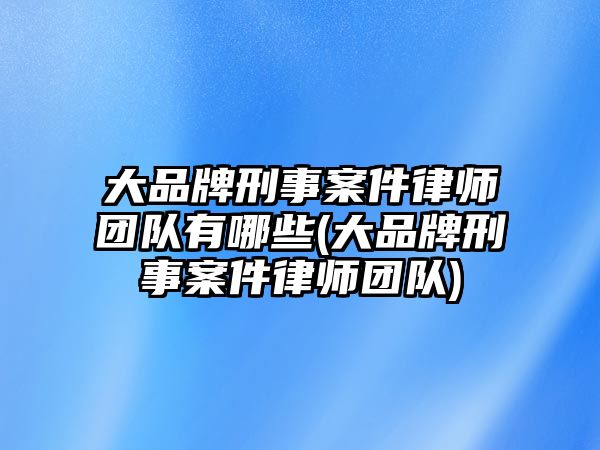 大品牌刑事案件律師團(tuán)隊有哪些(大品牌刑事案件律師團(tuán)隊)