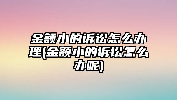 金額小的訴訟怎么辦理(金額小的訴訟怎么辦呢)