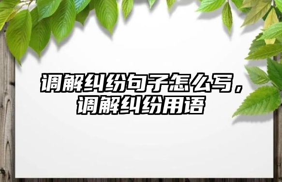 調解糾紛句子怎么寫，調解糾紛用語