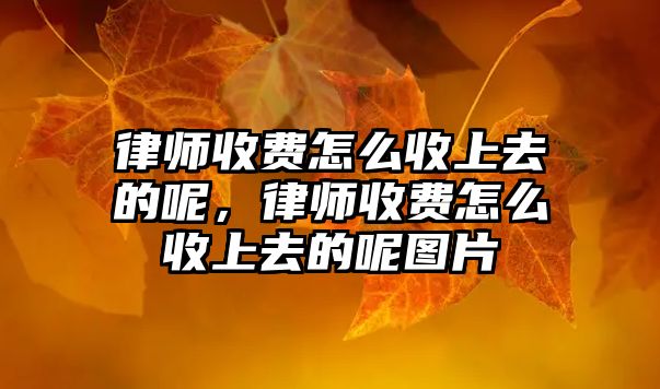 律師收費怎么收上去的呢，律師收費怎么收上去的呢圖片