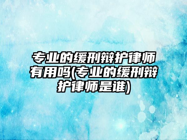 專業(yè)的緩刑辯護(hù)律師有用嗎(專業(yè)的緩刑辯護(hù)律師是誰(shuí))