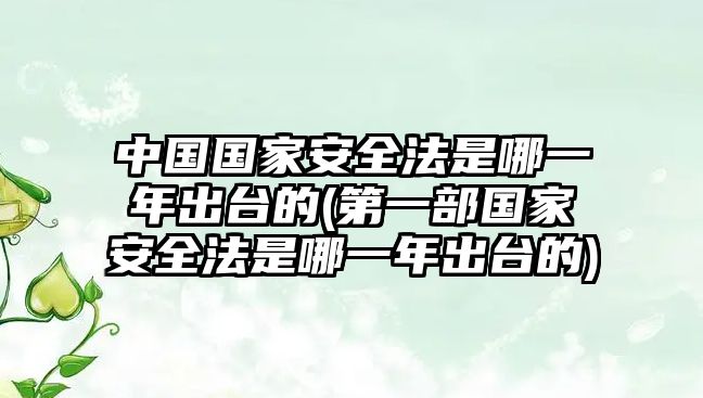 中國(guó)國(guó)家安全法是哪一年出臺(tái)的(第一部國(guó)家安全法是哪一年出臺(tái)的)