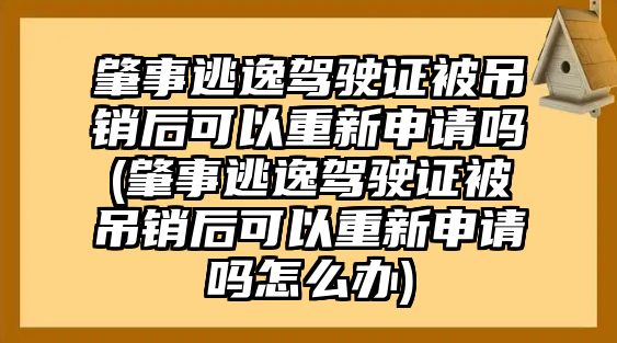 肇事逃逸駕駛證被吊銷后可以重新申請嗎(肇事逃逸駕駛證被吊銷后可以重新申請嗎怎么辦)