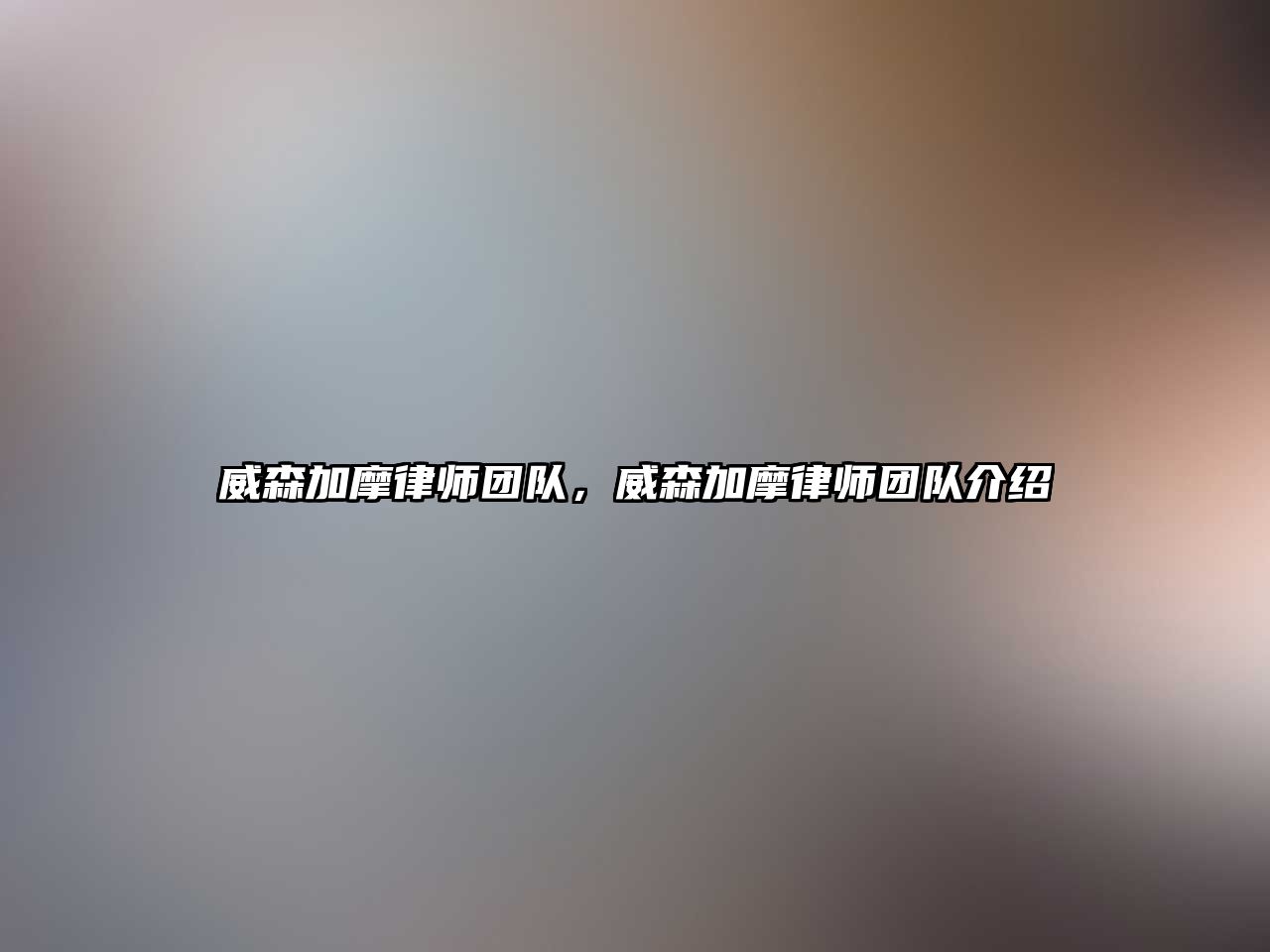 威森加摩律師團隊，威森加摩律師團隊介紹