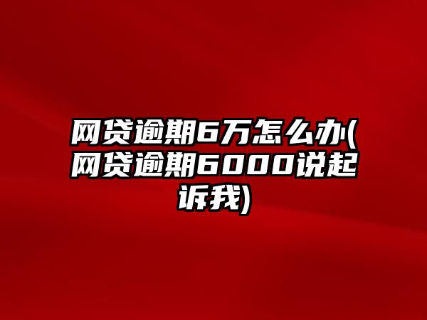 網貸逾期6萬怎么辦(網貸逾期6000說起訴我)