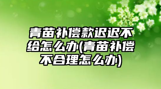 青苗補償款遲遲不給怎么辦(青苗補償不合理怎么辦)