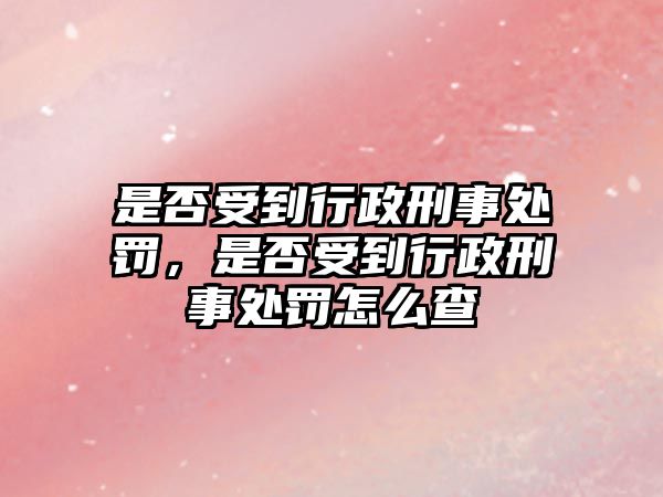 是否受到行政刑事處罰，是否受到行政刑事處罰怎么查