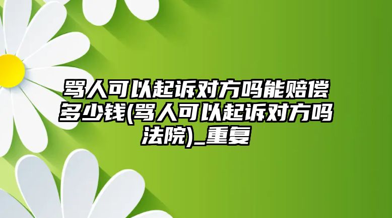 罵人可以起訴對方嗎能賠償多少錢(罵人可以起訴對方嗎法院)_重復