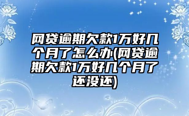 網(wǎng)貸逾期欠款1萬好幾個月了怎么辦(網(wǎng)貸逾期欠款1萬好幾個月了還沒還)