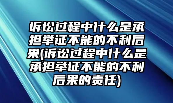 訴訟過程中什么是承擔舉證不能的不利后果(訴訟過程中什么是承擔舉證不能的不利后果的責任)