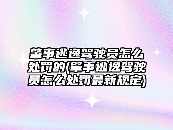 肇事逃逸駕駛員怎么處罰的(肇事逃逸駕駛員怎么處罰最新規定)