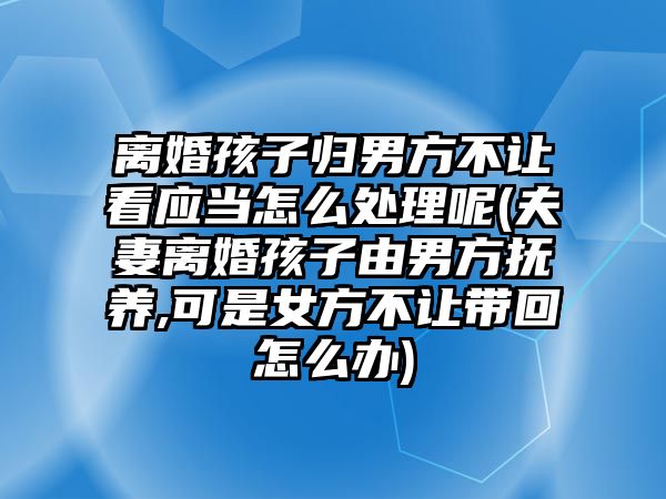 離婚孩子歸男方不讓看應(yīng)當怎么處理呢(夫妻離婚孩子由男方撫養(yǎng),可是女方不讓帶回怎么辦)