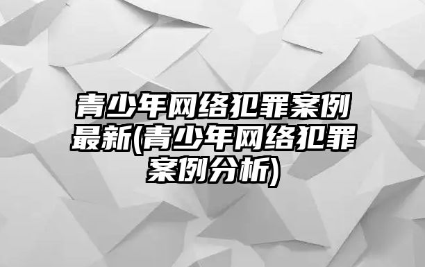 青少年網絡犯罪案例最新(青少年網絡犯罪案例分析)