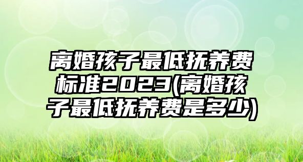 離婚孩子最低撫養費標準2023(離婚孩子最低撫養費是多少)