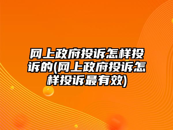 網上政府投訴怎樣投訴的(網上政府投訴怎樣投訴最有效)