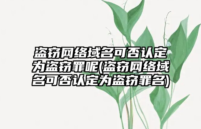 盜竊網絡域名可否認定為盜竊罪呢(盜竊網絡域名可否認定為盜竊罪名)