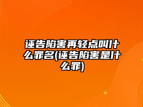 誣告陷害再輕點(diǎn)叫什么罪名(誣告陷害是什么罪)