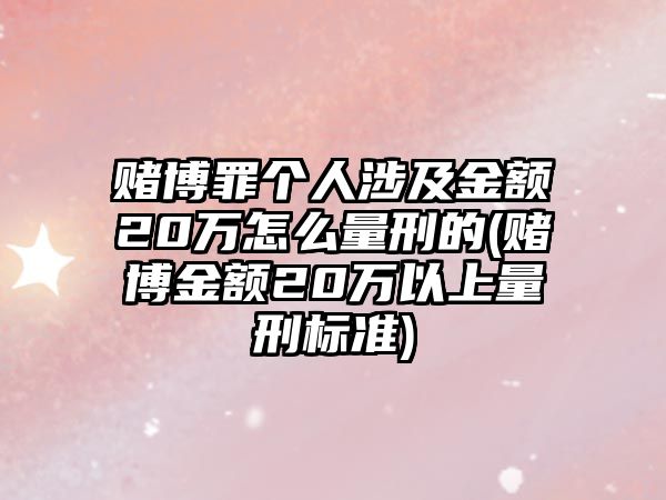 賭博罪個人涉及金額20萬怎么量刑的(賭博金額20萬以上量刑標準)