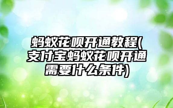 螞蟻花唄開通教程(支付寶螞蟻花唄開通需要什么條件)