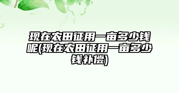 現(xiàn)在農(nóng)田征用一畝多少錢呢(現(xiàn)在農(nóng)田征用一畝多少錢補償)