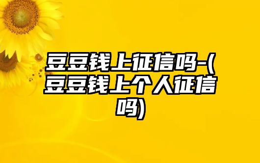 豆豆錢上征信嗎-(豆豆錢上個人征信嗎)