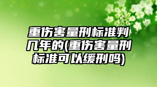 重傷害量刑標準判幾年的(重傷害量刑標準可以緩刑嗎)